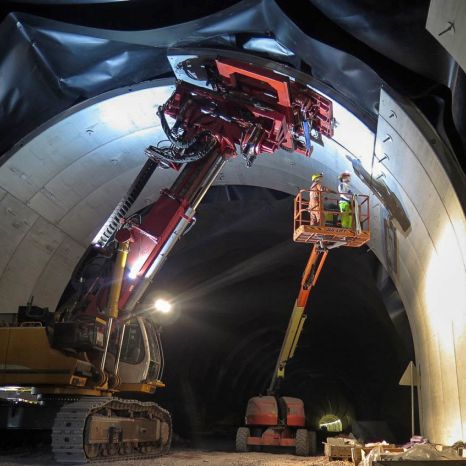 Concrete segment manipulator